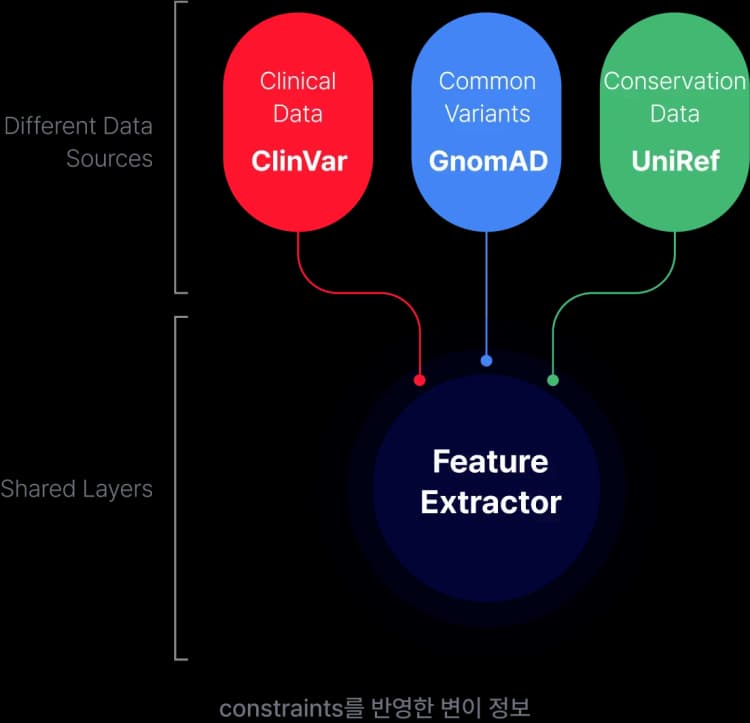 3Cnet Structure