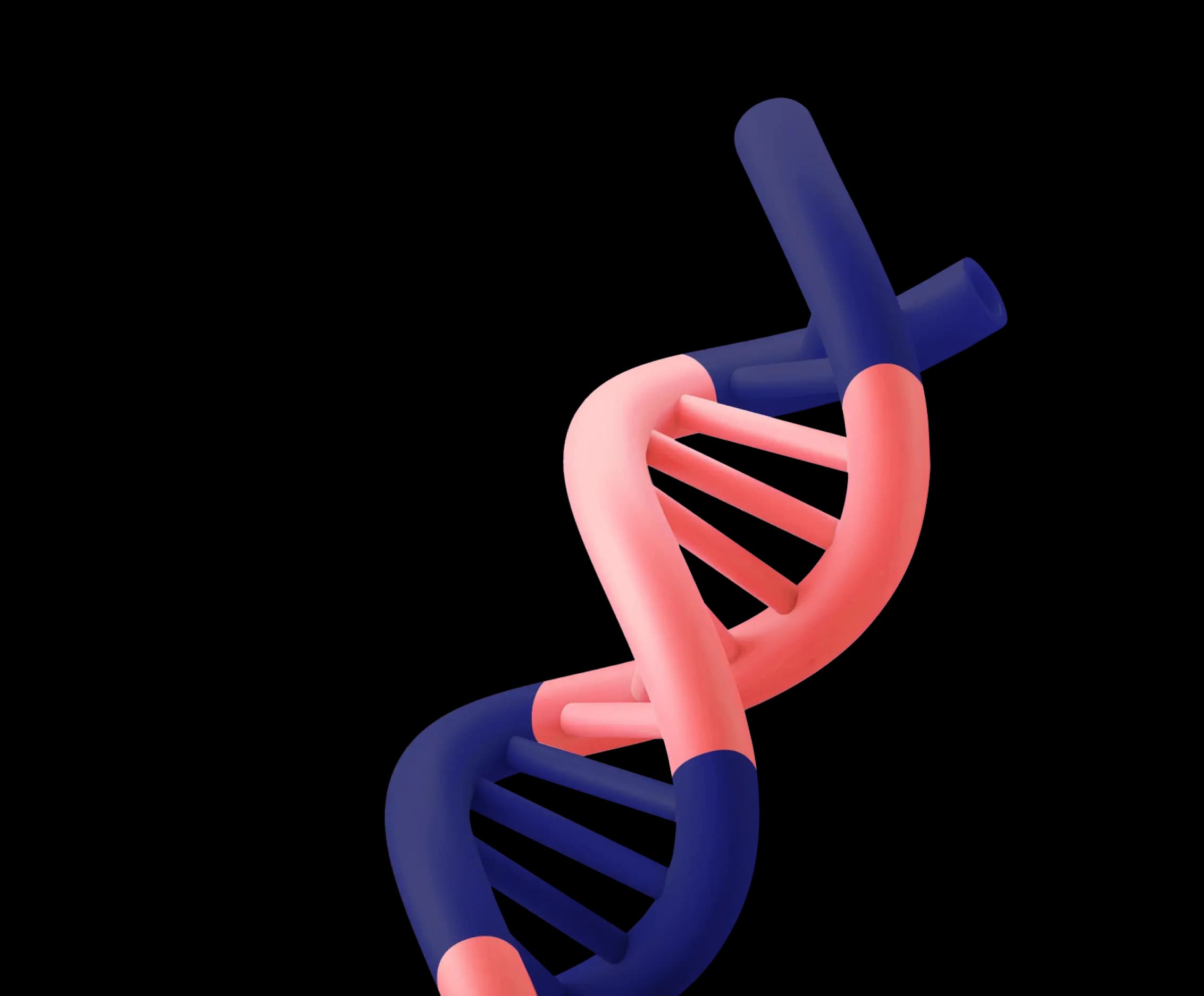 dna helix