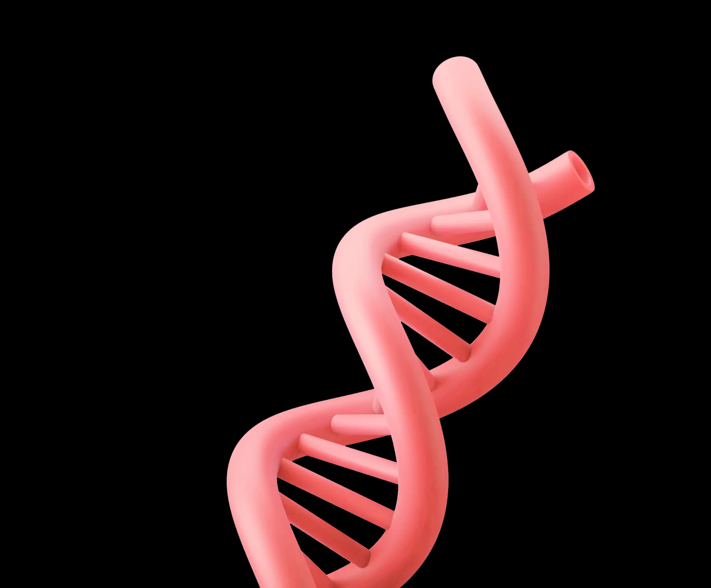 dna helix