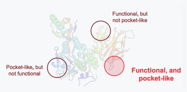 Comparison of functional and pocket sites of proteins